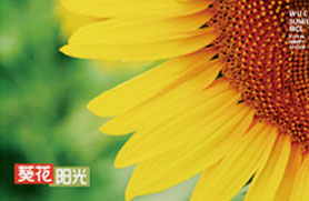葵花陽光米業(yè)
